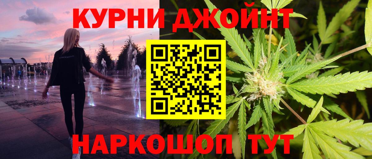 Каннабис план Королёв